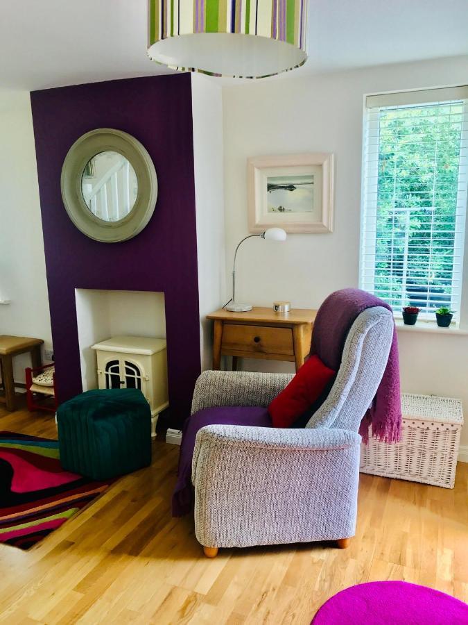 Red Deer Cosy Apartment In Letterfrack Connemara Kültér fotó