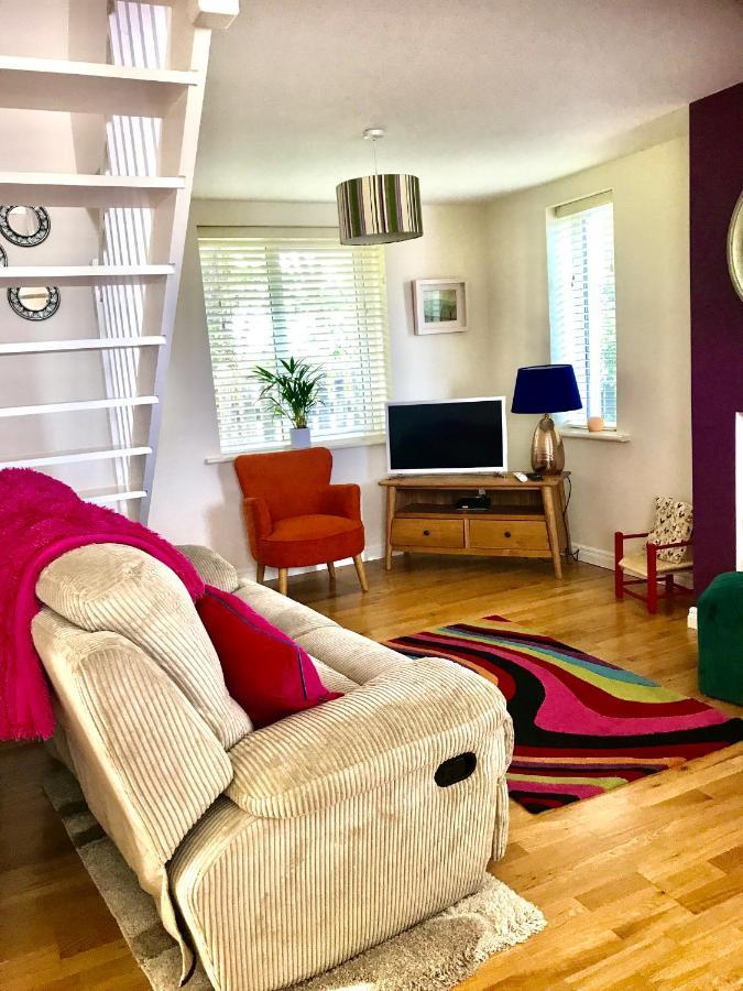 Red Deer Cosy Apartment In Letterfrack Connemara Kültér fotó